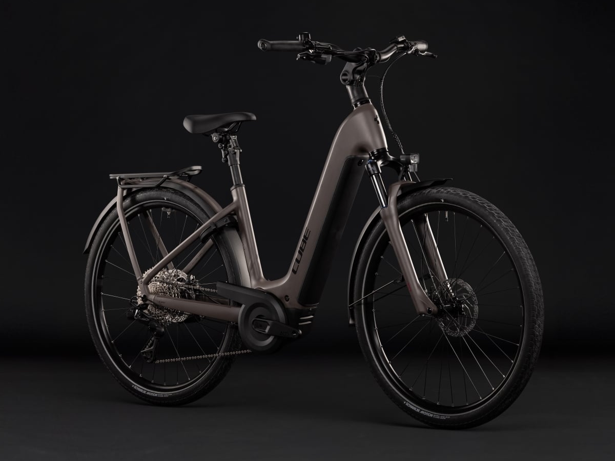 Cube Kathmandu Hybrid ONE 800 Easy Entry cedar´n´chrome 2027
